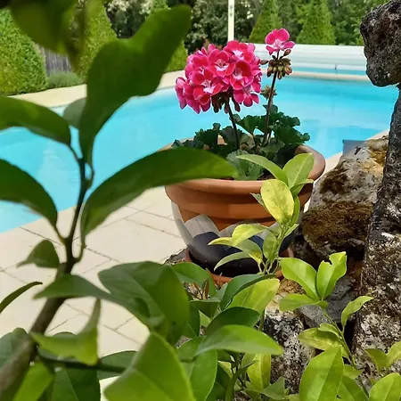 Bed & Breakfast Les Hauts De Dordogne Valojoulx